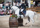 Pferd International 169